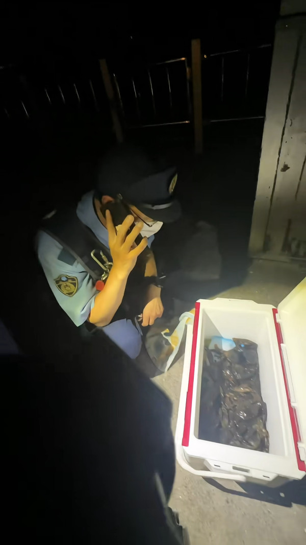 居日內地人非法捉一物被警察斷正！發文警世：以為是很正常的事情 