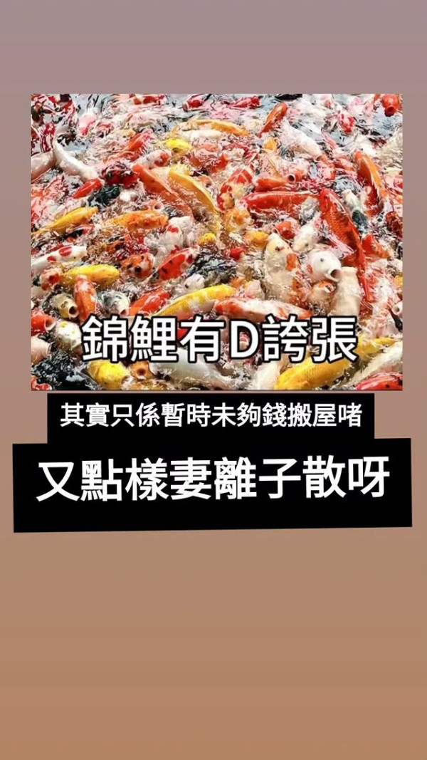 張致恒親自開腔回應婚變傳聞真相 「出街瞓」絕境被傳與雯雯婚姻亮紅燈