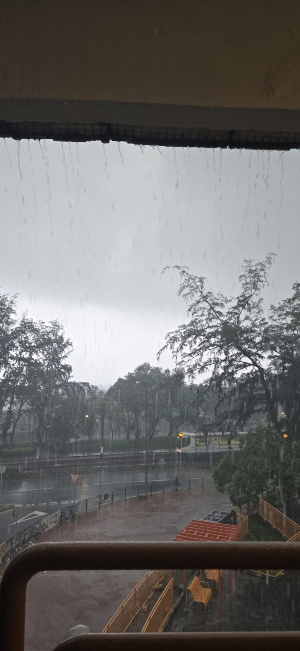 黃雨｜天文台留意天氣變化考慮發紅雨 網民分享各區暴雨情況 留言熱議 「直頭要黑雨啦」