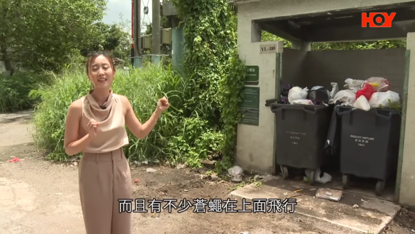 元朗屋邨垃圾站惡臭衝天 紙皮廚餘堆積如山 災難級場面困擾居民