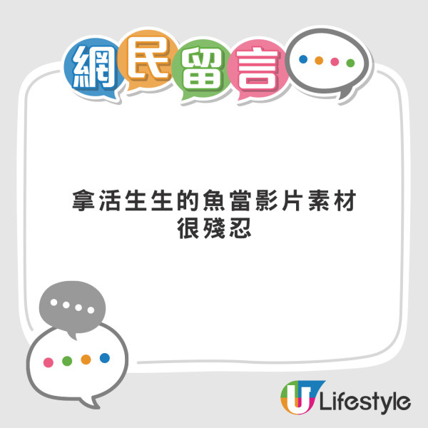 司機改裝車頭變移動水族館 釣魚忘記帶水桶 網民轟虐待動物：一開就熟