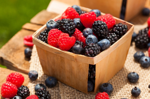 安眠藥易健忘？醫生︰1顆安眠藥失智風險或增2倍 每周吃1水果失智風險可減23%