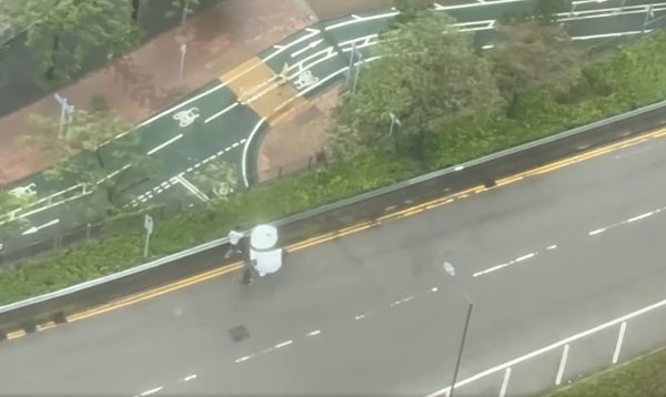 颱風韋帕｜大熊貓走失？街坊10號波勇救熊貓冒雨抬回行人路 引住戶拍片直擊