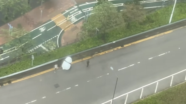 颱風韋帕｜大熊貓走失？街坊10號波勇救熊貓冒雨抬回行人路 引住戶拍片直擊