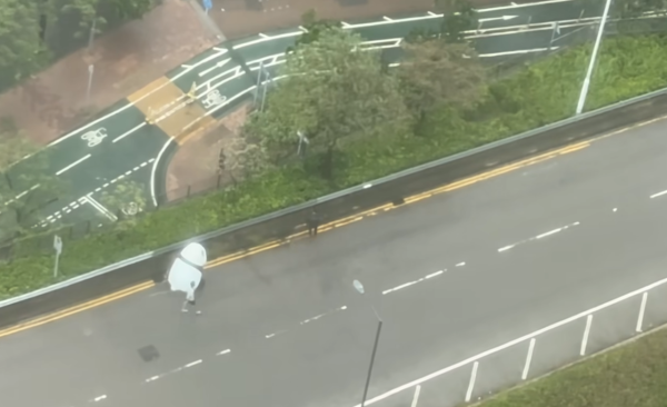 颱風韋帕｜大熊貓走失？街坊10號波勇救熊貓冒雨抬回行人路 引住戶拍片直擊