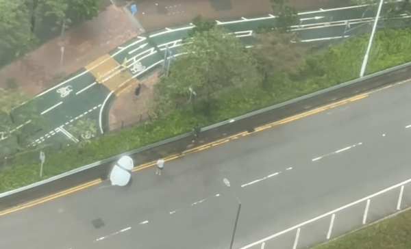 颱風韋帕｜大熊貓走失？街坊10號波勇救熊貓冒雨抬回行人路 引住戶拍片直擊