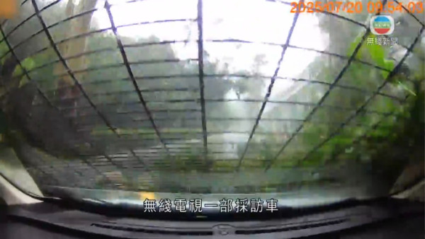 颱風韋帕｜無綫電視採訪車於將軍澳被塌樹擊中 車cam畫面曝光事故無人受傷