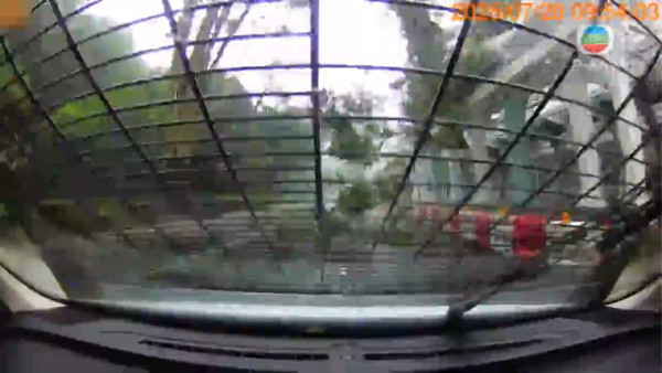 颱風韋帕｜無綫電視採訪車於將軍澳被塌樹擊中 車cam畫面曝光事故無人受傷