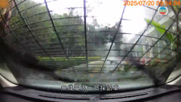 颱風韋帕｜無綫電視採訪車於將軍澳被塌樹擊中 車cam畫面曝光事故無人受傷