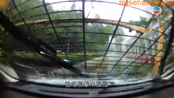 颱風韋帕｜無綫電視採訪車於將軍澳被塌樹擊中 車cam畫面曝光事故無人受傷