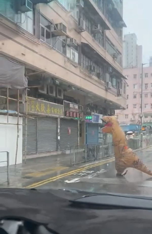 颱風韋帕｜打風3大奇觀！上空驚現燕子橋/雨傘吹剩遮柄？