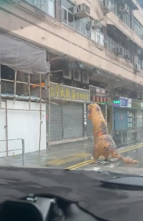 颱風韋帕｜打風3大奇觀！上空驚現燕子橋/雨傘吹剩遮柄？