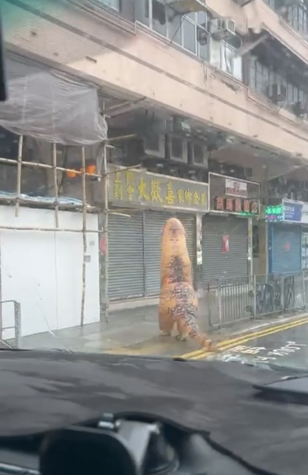 颱風韋帕｜打風3大奇觀！上空驚現燕子橋/雨傘吹剩遮柄？