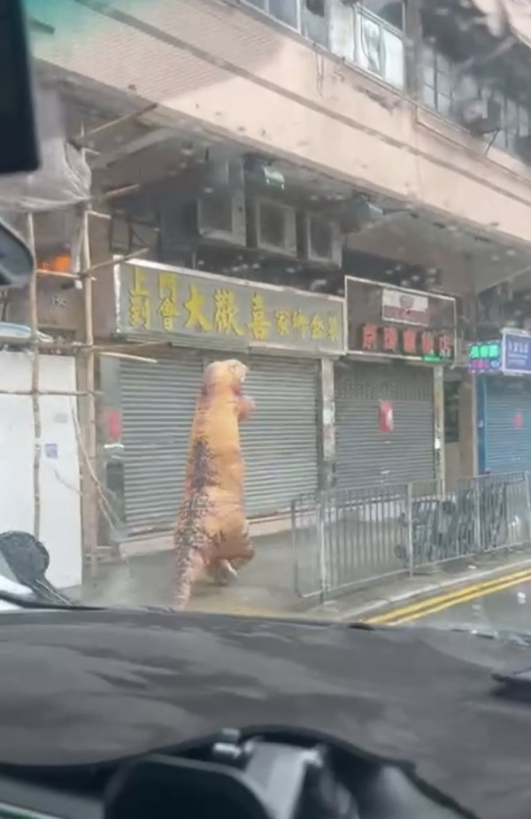 颱風韋帕｜打風3大奇觀！上空驚現燕子橋/雨傘吹剩遮柄？