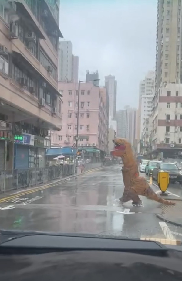 颱風韋帕｜打風3大奇觀！上空驚現燕子橋/雨傘吹剩遮柄？