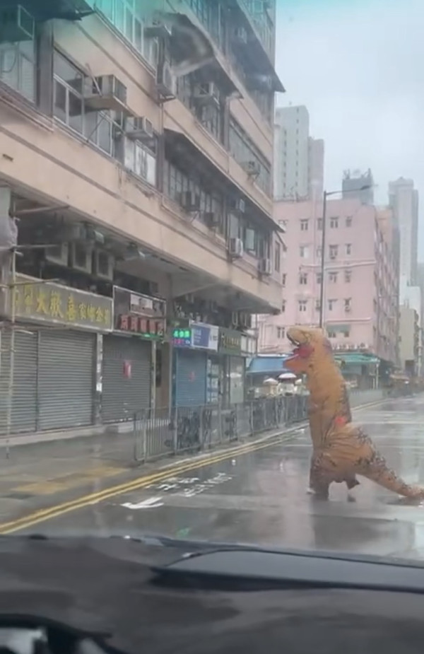 颱風韋帕｜打風3大奇觀！上空驚現燕子橋/雨傘吹剩遮柄？