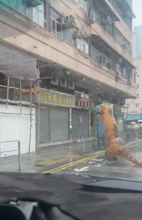 颱風韋帕｜打風3大奇觀！上空驚現燕子橋/雨傘吹剩遮柄？