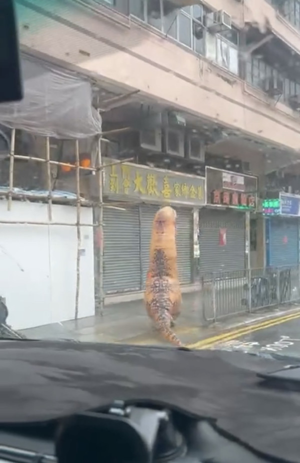 颱風韋帕｜打風3大奇觀！上空驚現燕子橋/雨傘吹剩遮柄？