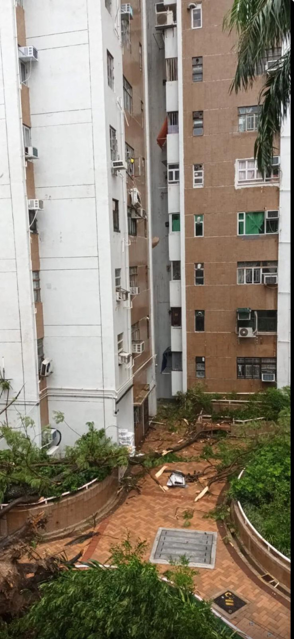 颱風韋帕10號風球驚險場面！屋苑冷氣機吹落街/北角大型棚架倒塌