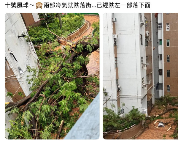 颱風韋帕10號風球驚險場面！屋苑冷氣機吹落街/北角大型棚架倒塌