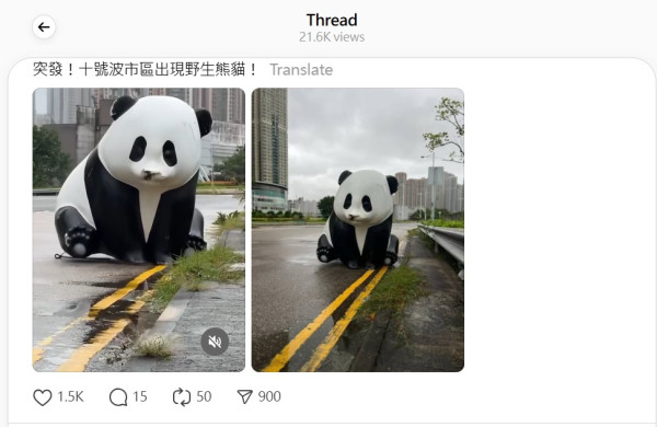 颱風韋帕｜大熊貓走失？街坊10號波勇救熊貓冒雨抬回行人路 引住戶拍片直擊