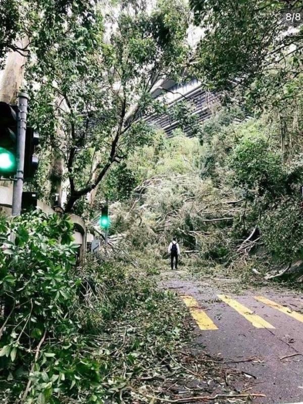 狂風暴雨無阻香港人返工熱情！山竹破壞力驚人超強重溫【多圖】