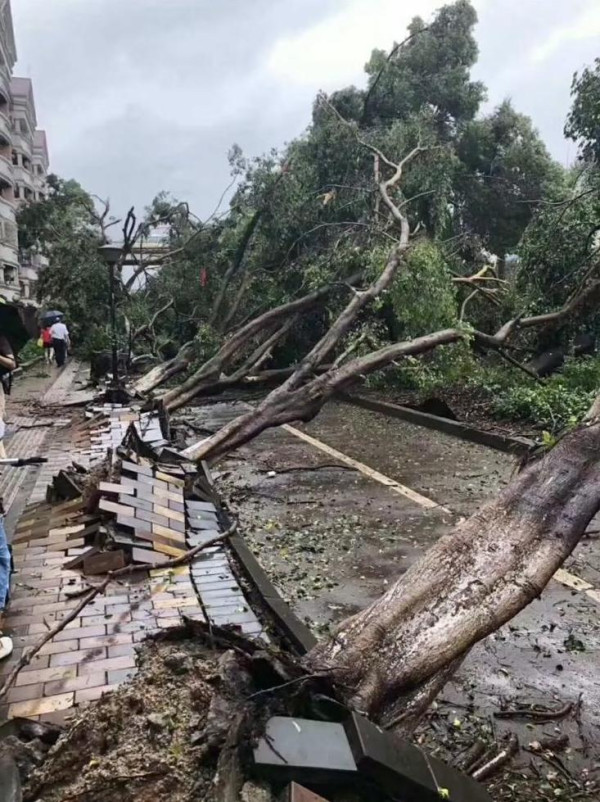 狂風暴雨無阻香港人返工熱情！山竹破壞力驚人超強重溫【多圖】