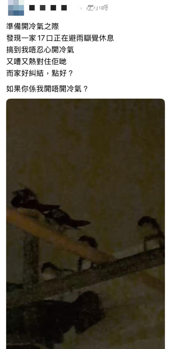 颱風韋帕｜打風3大奇觀！上空驚現燕子橋/雨傘吹剩遮柄？