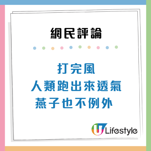 颱風韋帕｜打風3大奇觀！上空驚現燕子橋/雨傘吹剩遮柄？