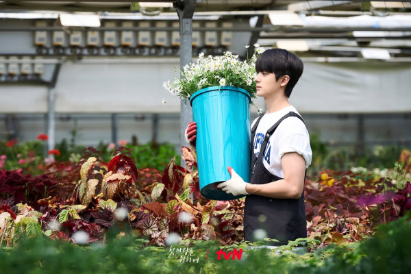 韓劇《初次，為了愛》線上看（圖片來源：IG@tvn_drama）