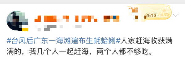 颱風後內地人衝深圳海灘撿海鮮！生蠔、螄蚶全都有塞爆桶  專家勸退：或暗藏殺機