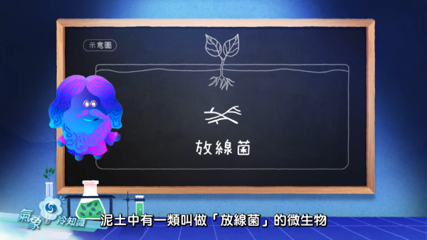落雨行雷有陣味？天文台拆解雨後芬芳之謎 全因雨滴「撞」泥土釋放神秘氣體