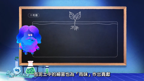 落雨行雷有陣味？天文台拆解雨後芬芳之謎 全因雨滴「撞」泥土釋放神秘氣體