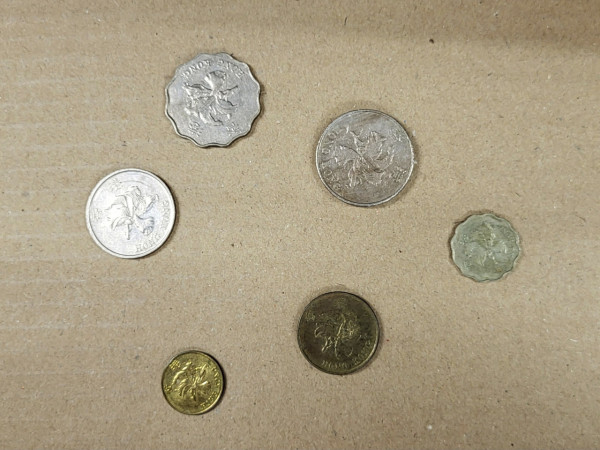 拼多多14蚊入手8.8「紀念幣」 網民爆笑：我有好多 細數香港歷年紀念幣