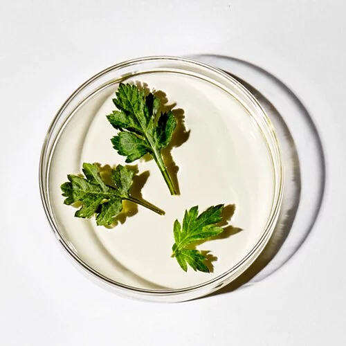 艾草護膚品｜APRILSKIN 艾草植萃化妝水