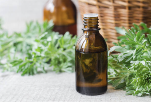 艾草功效 圖片來源：iStock