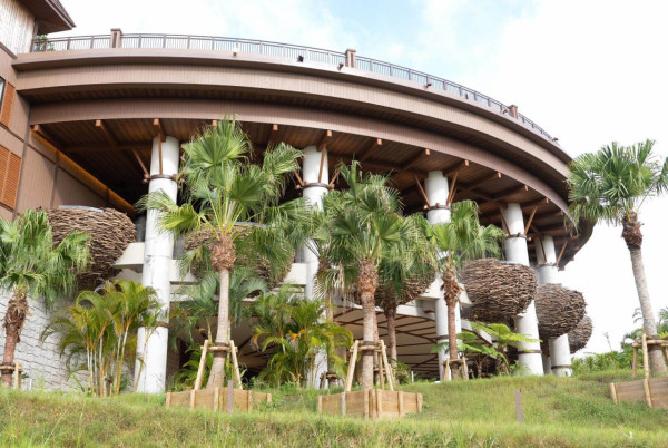 沖繩潛水悲劇！教練與遊客受困30米深洞罹難 揭潛水必知保命安全貼士 