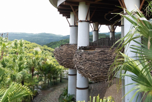 沖繩潛水悲劇！教練與遊客受困30米深洞罹難 揭潛水必知保命安全貼士 