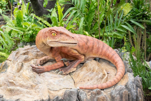 JUNGLIA｜沖繩全新主題樂園25年7月開幕 佔地120萬米！恐龍主題機動遊戲/熱氣球/SPA設施 