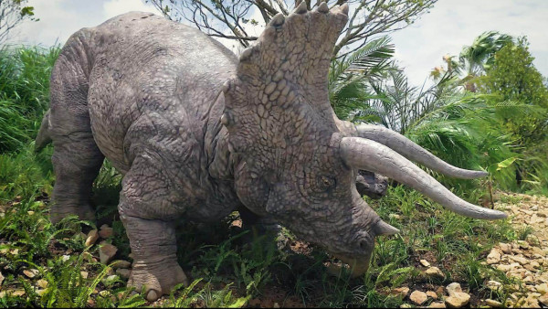 沖繩潛水悲劇！教練與遊客受困30米深洞罹難 揭潛水必知保命安全貼士 