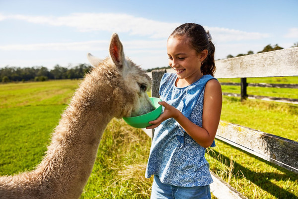 從悉尼歌劇院到獵人谷酒莊 體驗文化、自然與休閒品味 用不同節奏解鎖澳洲
