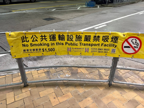 西九花燈12.8米「紫霞仙子」引發兩極評價：萬聖節到了vs非遺花燈特別 