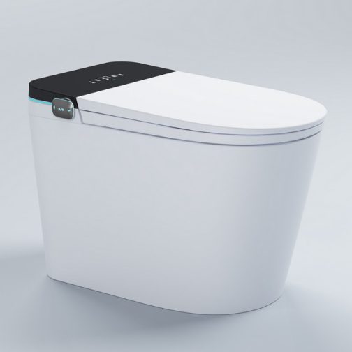 智能馬桶選購避坑指南 即熱式vs儲熱式點揀 附6款型號推介