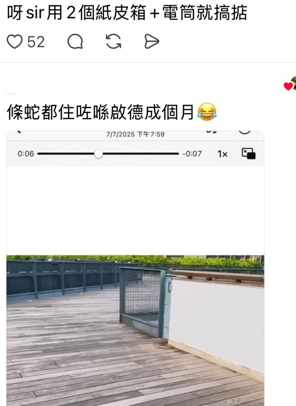 啟德港鐵站驚現大長蛇嚇壞市民！目擊者見阿sir用紙皮箱制服