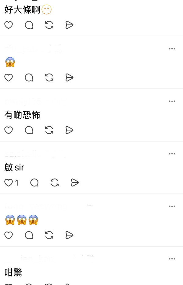 啟德港鐵站驚現大長蛇嚇壞市民！目擊者見阿sir用紙皮箱制服