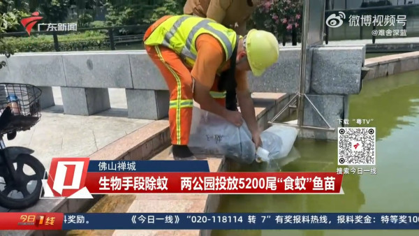 深圳凌晨降破今年紀錄特大暴雨！ 一度發出紅色預警 多區嚴重水浸 汽車被淹沒 