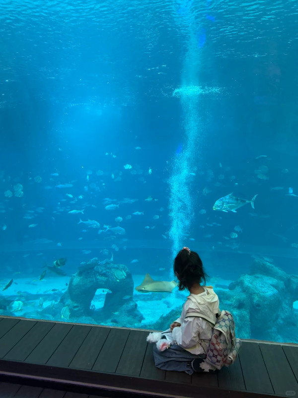 為女兒入住海底房間(圖片來源：小紅書@小格格）