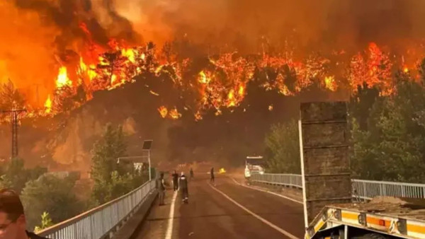 酷熱天氣侵襲全球!土耳其錄得50度高溫 引發嚴重山火 多名消防員殉職