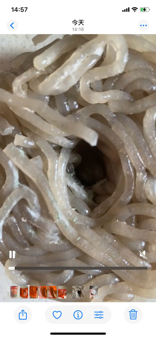 汪小菲品牌麻六記酸辣粉爆食安危機！發霉刺鼻網民嘲：黑心