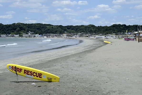日本海嘯｜旅客靠Google翻譯緊貼撤離安排 直擊動物被抬出館外 引小童圍觀搧風
